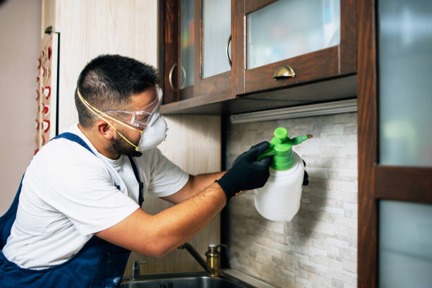 Best Wasp Removal Services  in Newark, TX