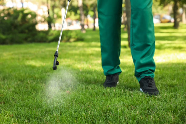 Best Insect Control  in Newark, TX