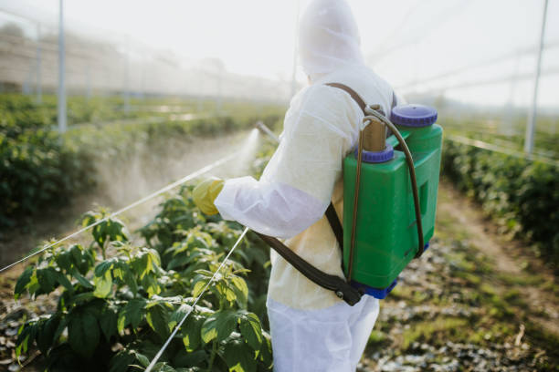 Best Pest Removal Services  in Newark, TX